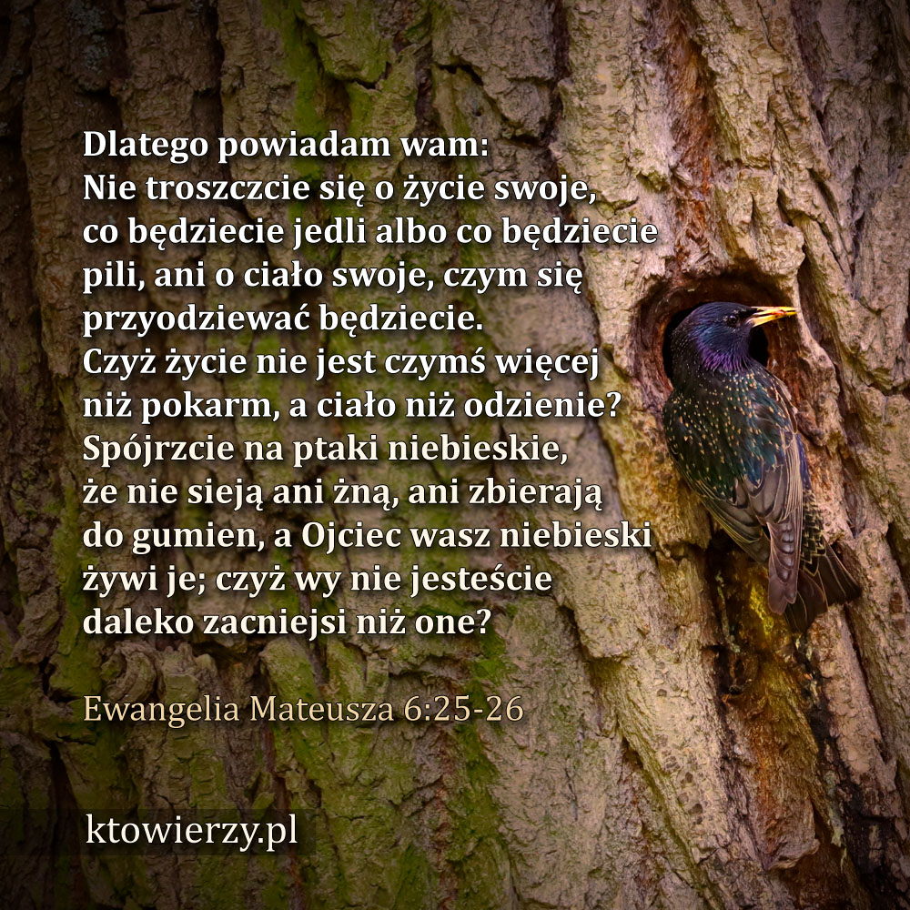 ktowierzy.pl