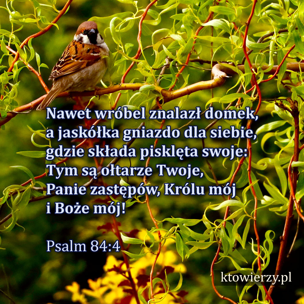 ktowierzy.pl