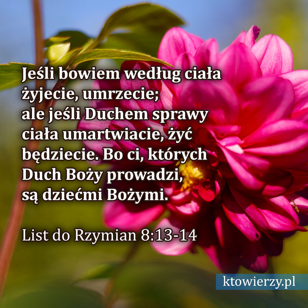 ktowierzy.pl