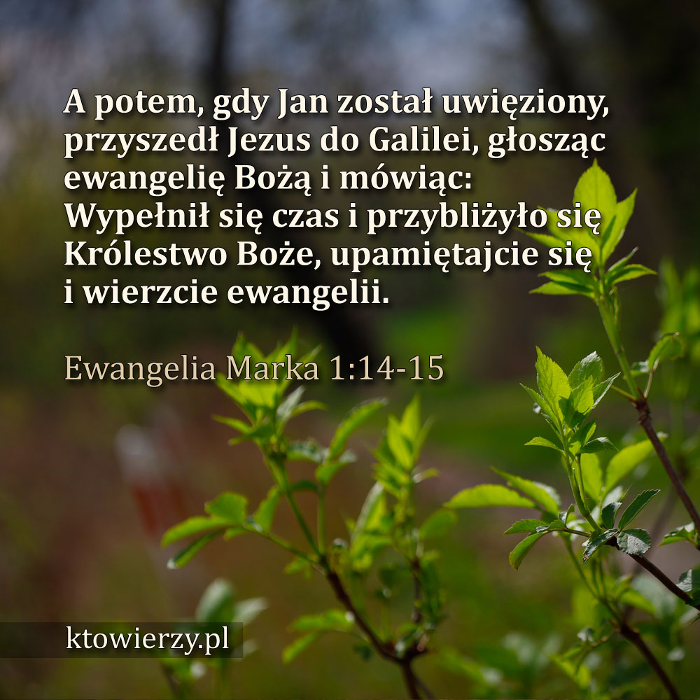 ktowierzy.pl