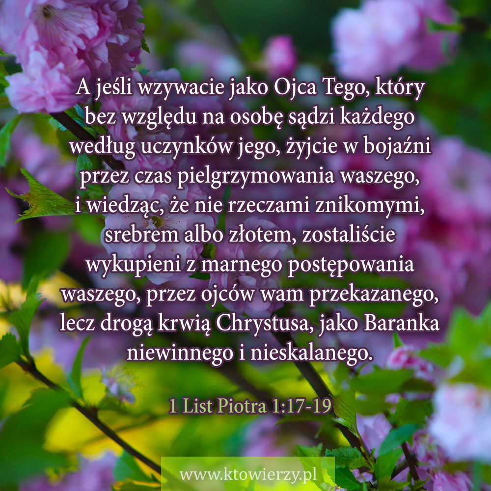 ktowierzy.pl