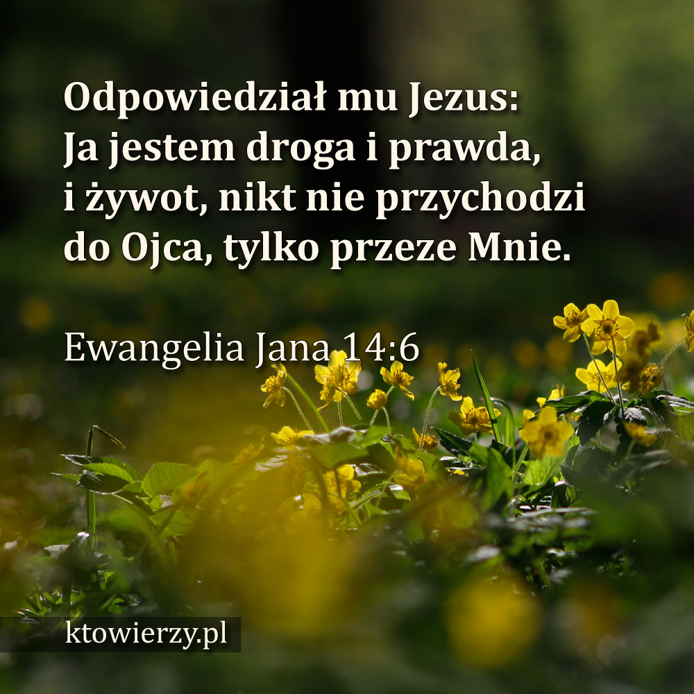 ktowierzy.pl