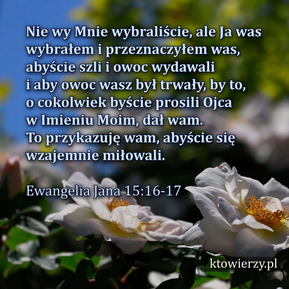 ktowierzy.pl